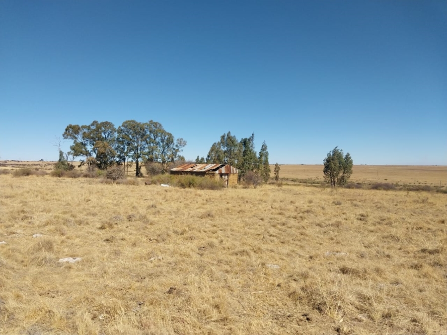 4 Bedroom Property for Sale in Koppies Free State